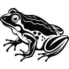 Frog isolated vector, Frog silhouette vector art