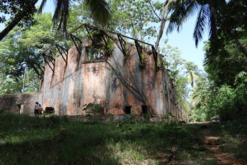 Insula Saint-Joseph, Frans-Guyana. 28-10-2022. Nature is reclaiming the land from this prison....