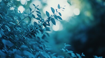 Fototapeta premium Close up view of leaves and blurred natural background
