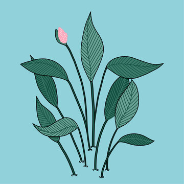 Minimalist Simple Botanical illustration of an Isolated Green Plant wit Long Leaves on Clear Blue Water Background.