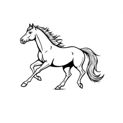 black horse vector illustration