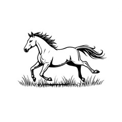 Illustration of racing horse outline on white background