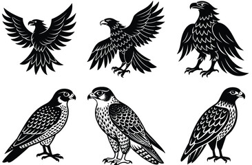 Obraz premium Vector silhouettes of wild birds and eagles in flight