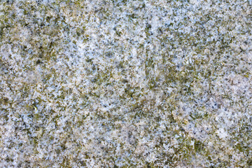 Rock with a lot of moss on it. The moss is green and white. The rock is grey and has a lot of texture.