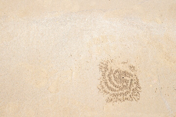 Drawing of a crab on white sea sand. Template for text