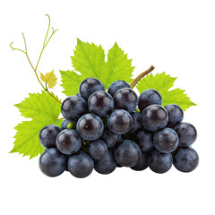bunch of grapes