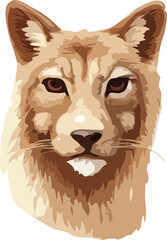 lion vector art