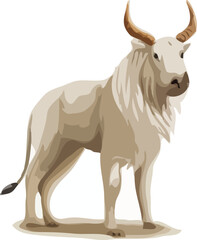 sheep isolated on white