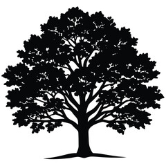 Obraz premium Black Silhouette Tree Vector: Detailed Oak Tree Illustration, Nature Graphic Design Element, Forest Symbol, Tree of Life Icon