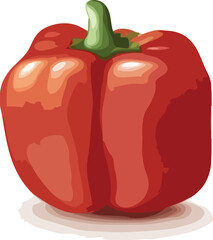 vector illustration of a red pepper