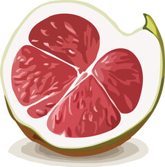 pomegranate vector art