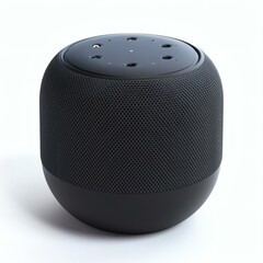 Obraz premium Modern Portable Bluetooth Speaker with Sleek Matte Black Design and Perforated Top, Studio Shot on White Backdrop
