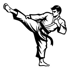 Fototapeta premium Dynamic Martial Artist Performing High Kick Illustration for Fitness and Self Defense Themes