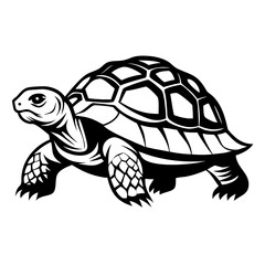 Obraz premium Detailed Black Tortoise Vector Design for Tattoo Art and Coloring Projects
