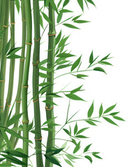 PNG Bamboo plant backgrounds pattern.