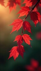 Crimson leaf twirls, graceful descent against blurred bokeh , photography, light