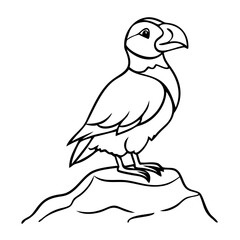 Obraz premium Detailed Puffin Bird Illustration for Nature Lovers and Artistic Creations