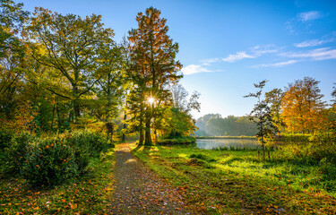 road in autumn forest