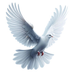 White Dove Soaring: Symbol of Peace and Hope