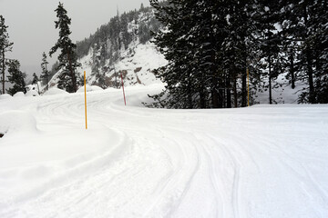 Yellowstone Winter Snow Typical December Road