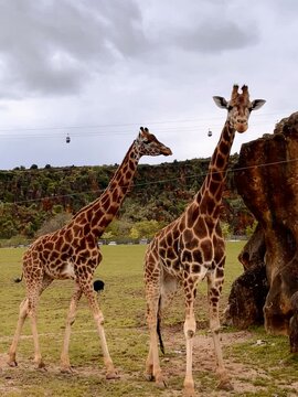 Miradas que Tocan el Cielo