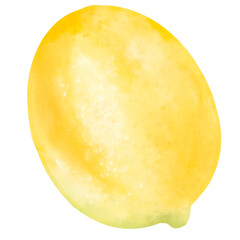 yellow melon isolated on white