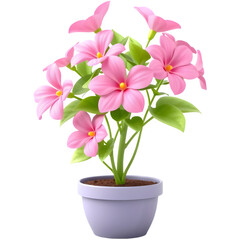 Naklejka premium Pink flowers in a pot. Lovely houseplant.