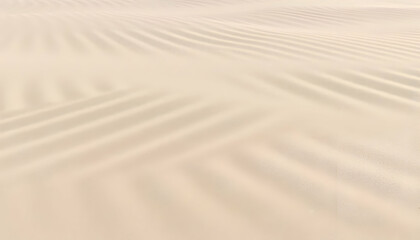 Fototapeta premium Beige Sand Texture With Ripples