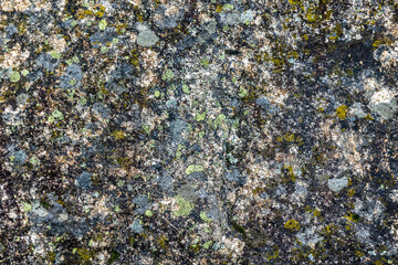 Natural granite rock texture with lichens on top. Concept: Nature, wild, rocks, textures.