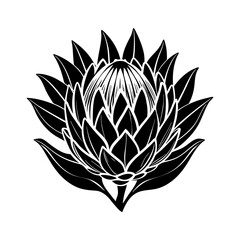 Obraz premium Download King Protea Flower Silhouette Vector Illustration Svg File For Design.