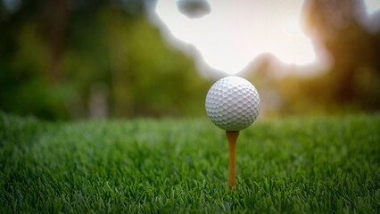 Golf ball on green grass in the evening golf course with sunshine background.