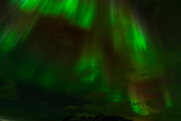 Elsgnes, Harstad, Hinnøya, Norway - 25 February 2025 - Intense Northern Lights in the Norwegian sky seen from Elsgnes