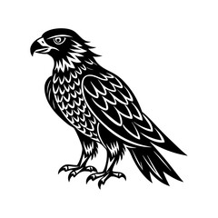 Obraz premium Download Tailed Hawk Silhouette Vector Illustration Svg File For Design.