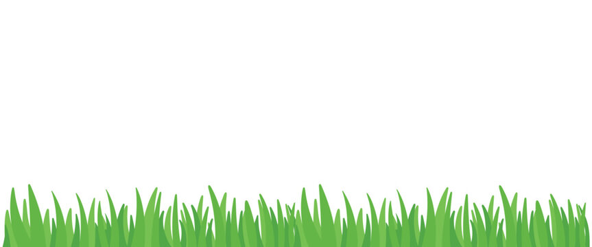 Green Grass Meadow Bottom Border for Background Element Decoration Vector Illustration