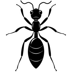 Ant silhouette vector illustration