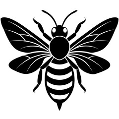 Bee wings close up silhouette vector illustration
