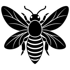 Bee wings close up silhouette vector illustration