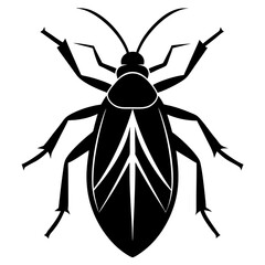 Boxelder bug silhouette vector illustration