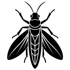 Borer silhouette vector illustration