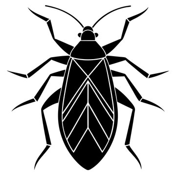 Boxelder bug silhouette vector illustration