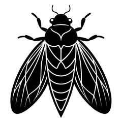 Cecropia moth silhouette vector illustration 