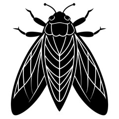 Cecropia moth silhouette vector illustration 