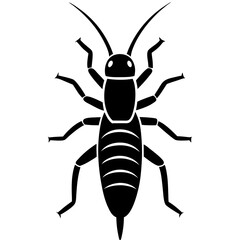 Earwig silhouette vector illustration 