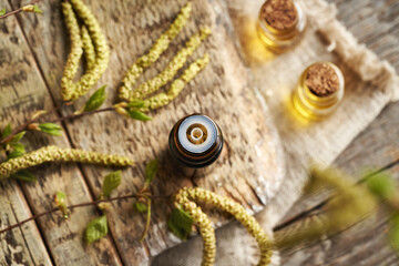 A bottle of herbal tincture with birch branches with young leaves and catkins collected in spring,...