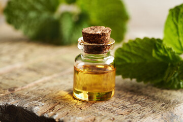 A bottle of melissa essential oil with melissa leaves
