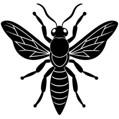 Gall wasp silhouette vector illustration 