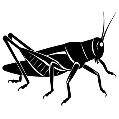 Grasshopper silhouette vector illustration 