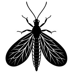 Green lacewing silhouette vector illustration 