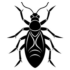 Head louse silhouette vector illustration 