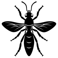Mud dauber silhouette vector illustration 